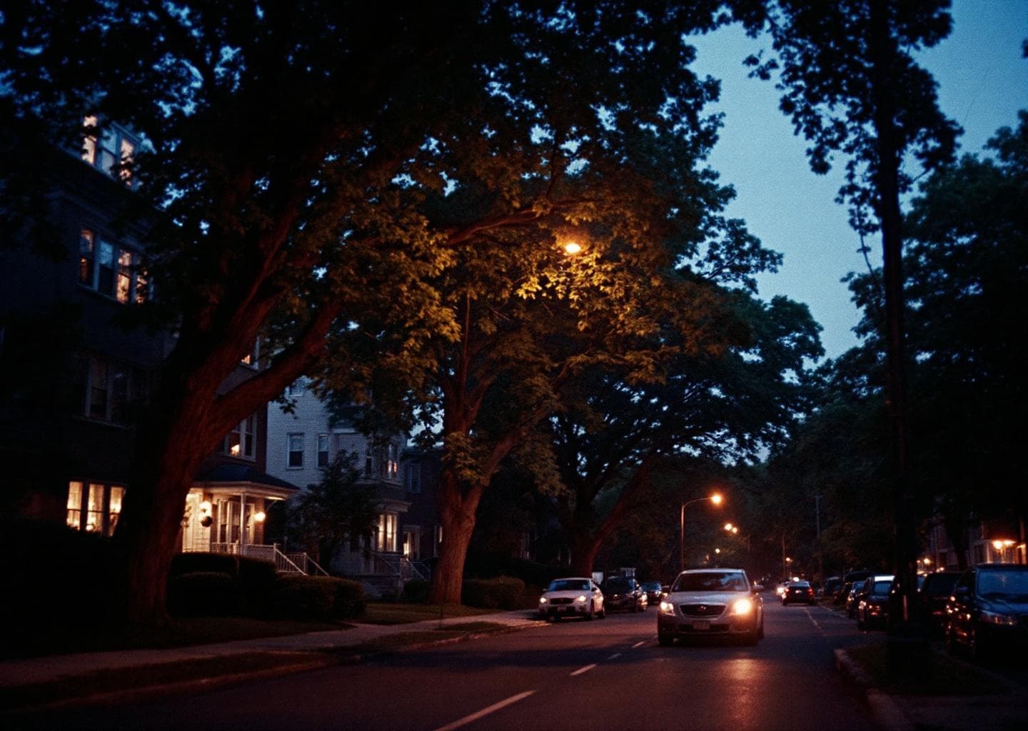 Cannabis Dispensary Near Glen Oaks, NY: Sage Seeds Bellerose
